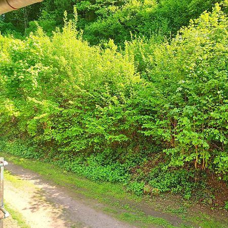 La Demeure Des Forges Apartman Grandfontaine  Kültér fotó