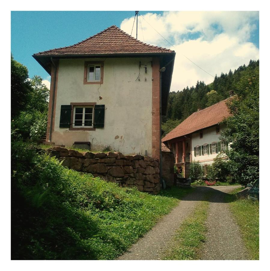 La Demeure Des Forges Apartman Grandfontaine  Kültér fotó
