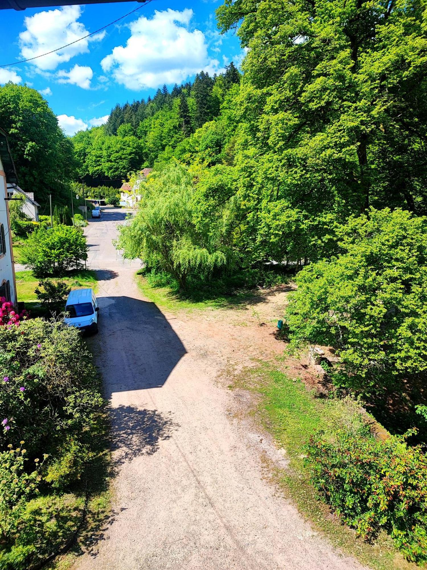La Demeure Des Forges Apartman Grandfontaine  Kültér fotó