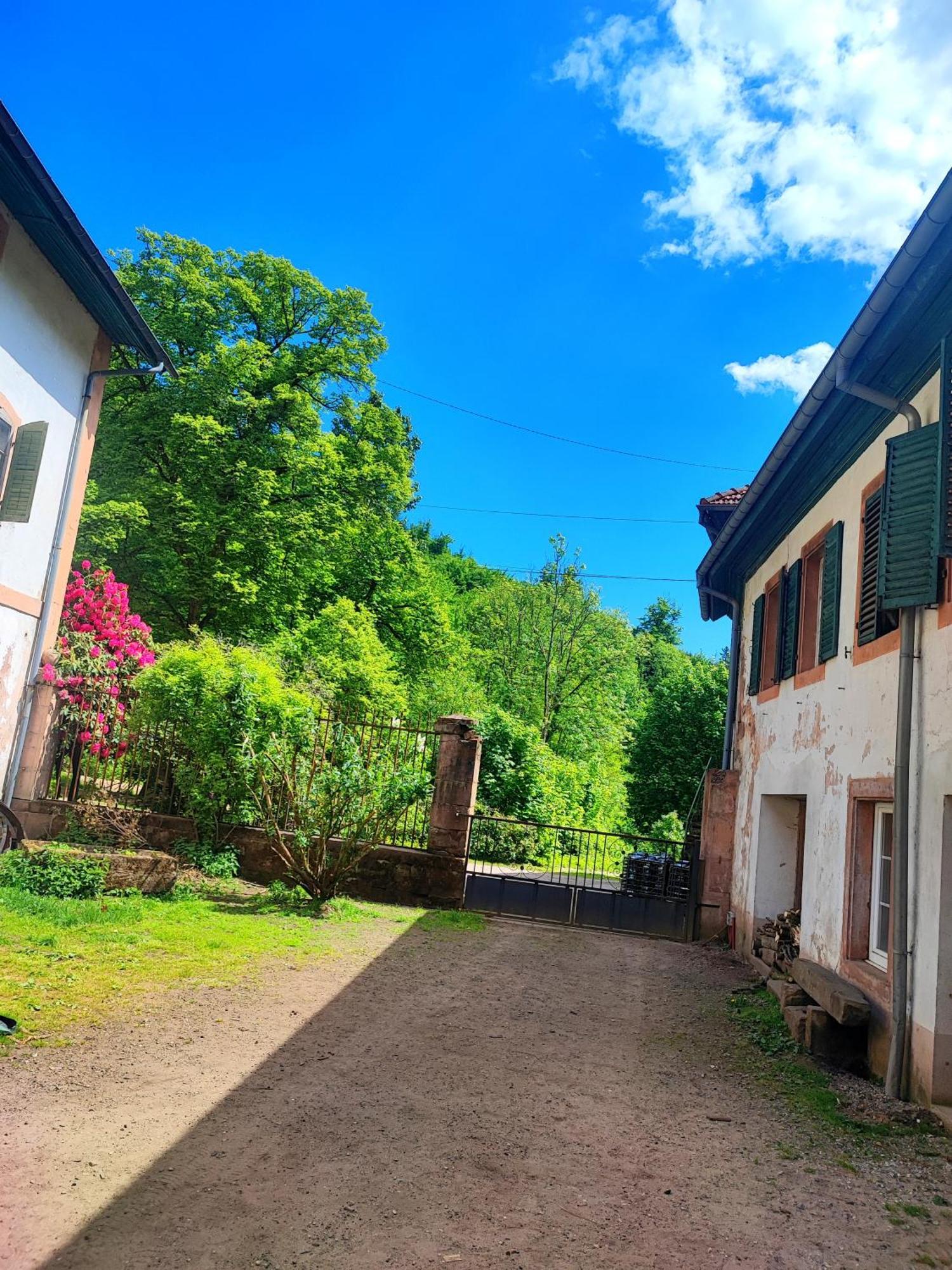 La Demeure Des Forges Apartman Grandfontaine  Kültér fotó