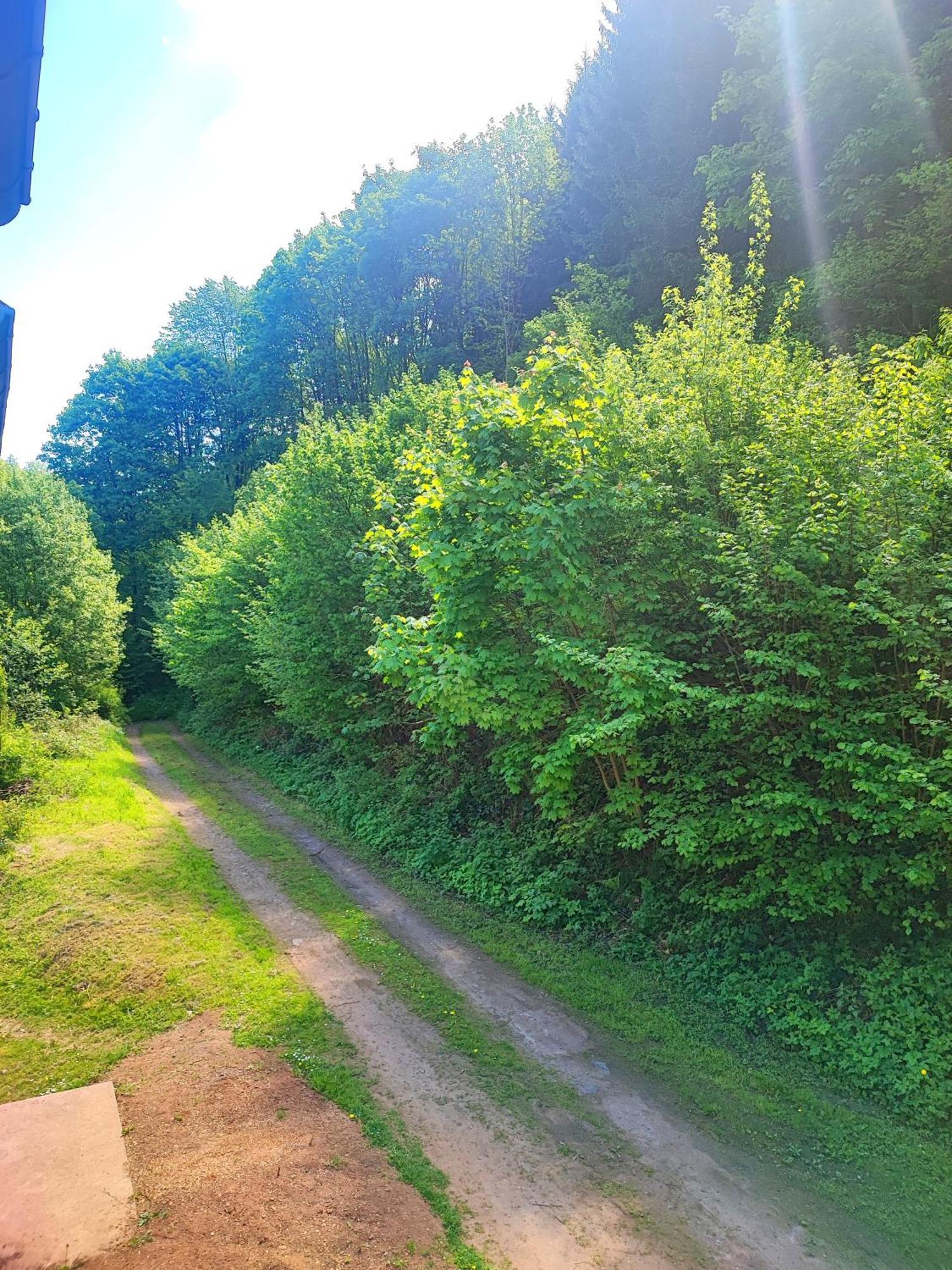 La Demeure Des Forges Apartman Grandfontaine  Kültér fotó