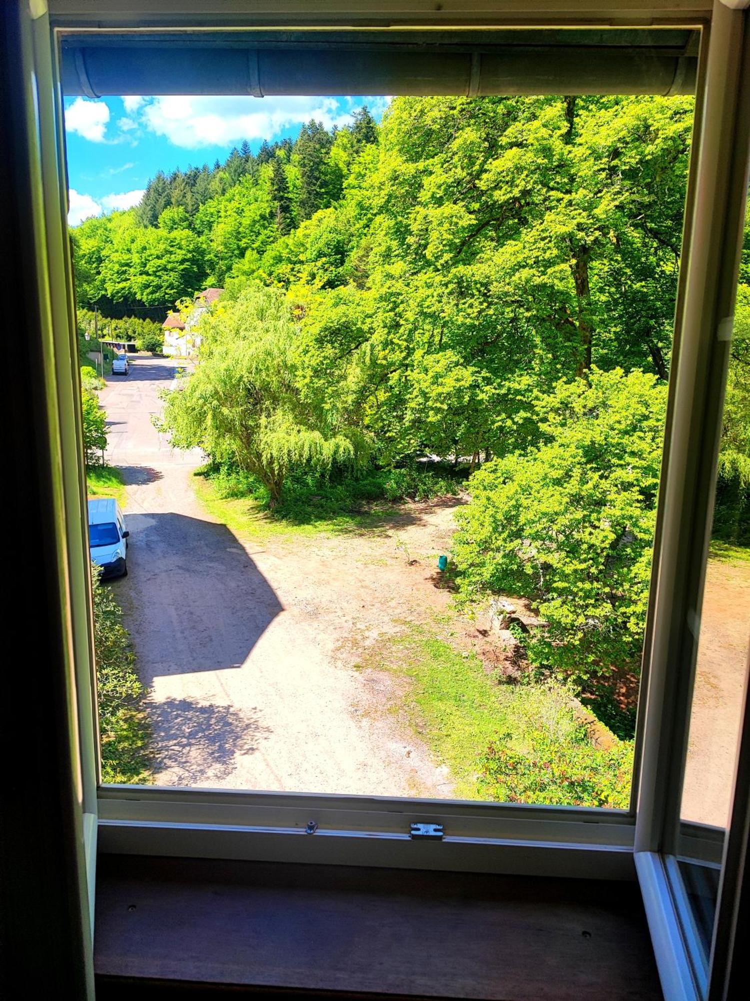 La Demeure Des Forges Apartman Grandfontaine  Kültér fotó