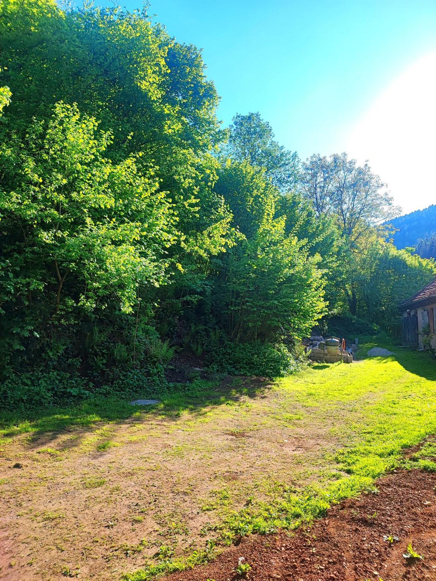 La Demeure Des Forges Apartman Grandfontaine  Kültér fotó