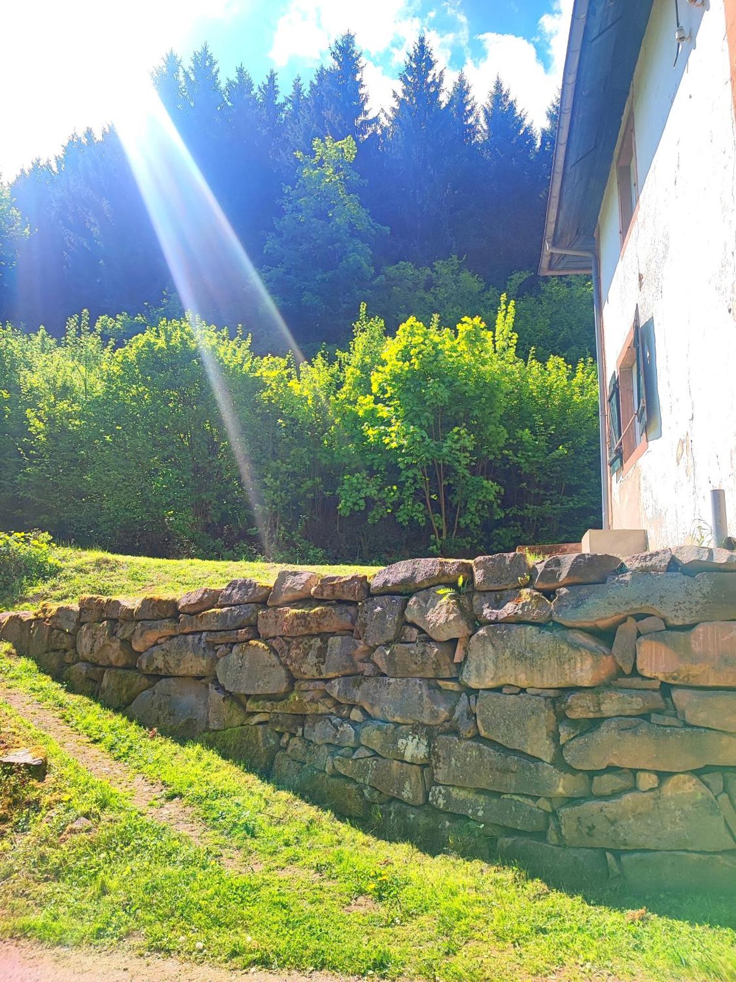 La Demeure Des Forges Apartman Grandfontaine  Kültér fotó