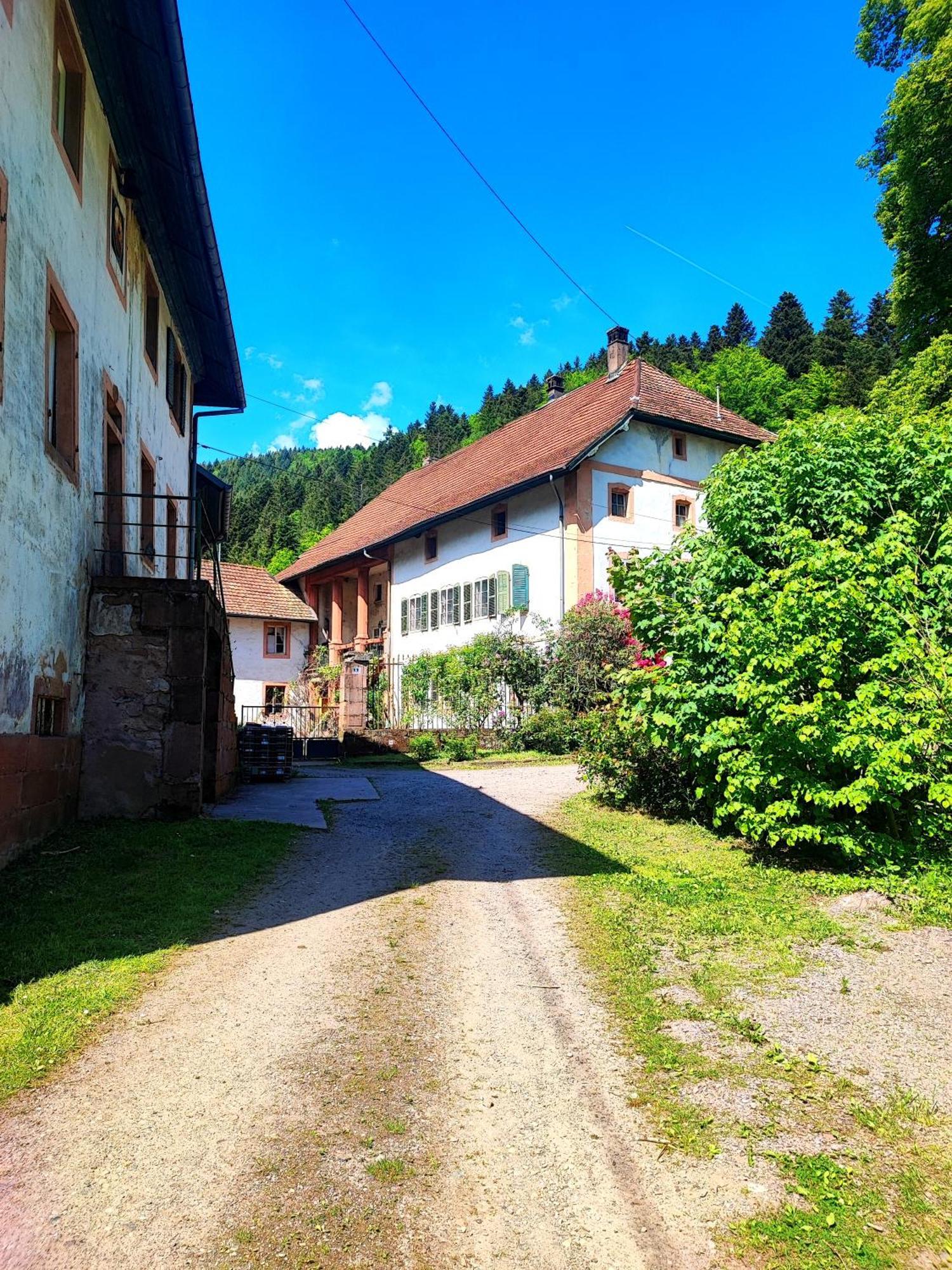 La Demeure Des Forges Apartman Grandfontaine  Kültér fotó