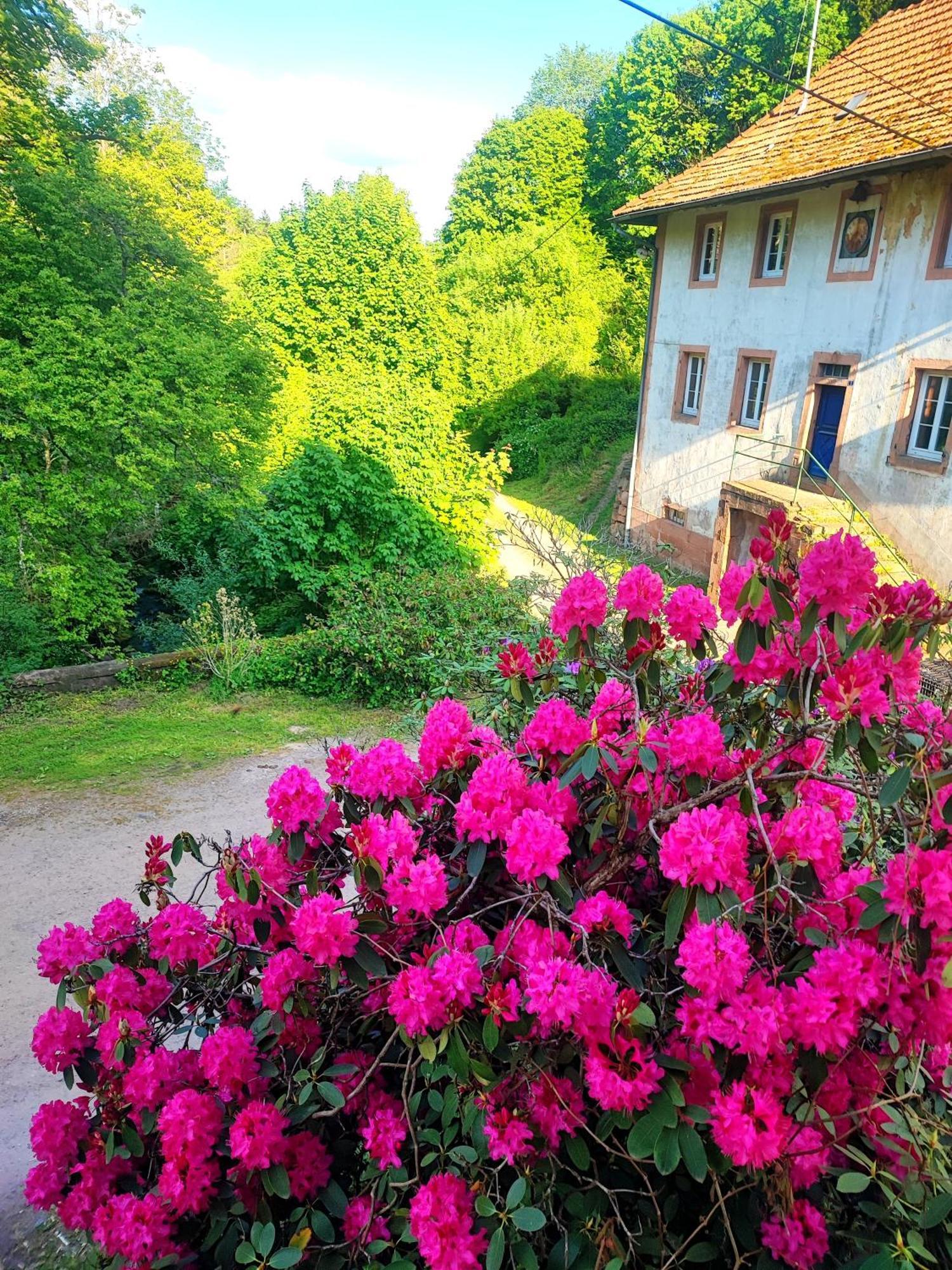 La Demeure Des Forges Apartman Grandfontaine  Kültér fotó