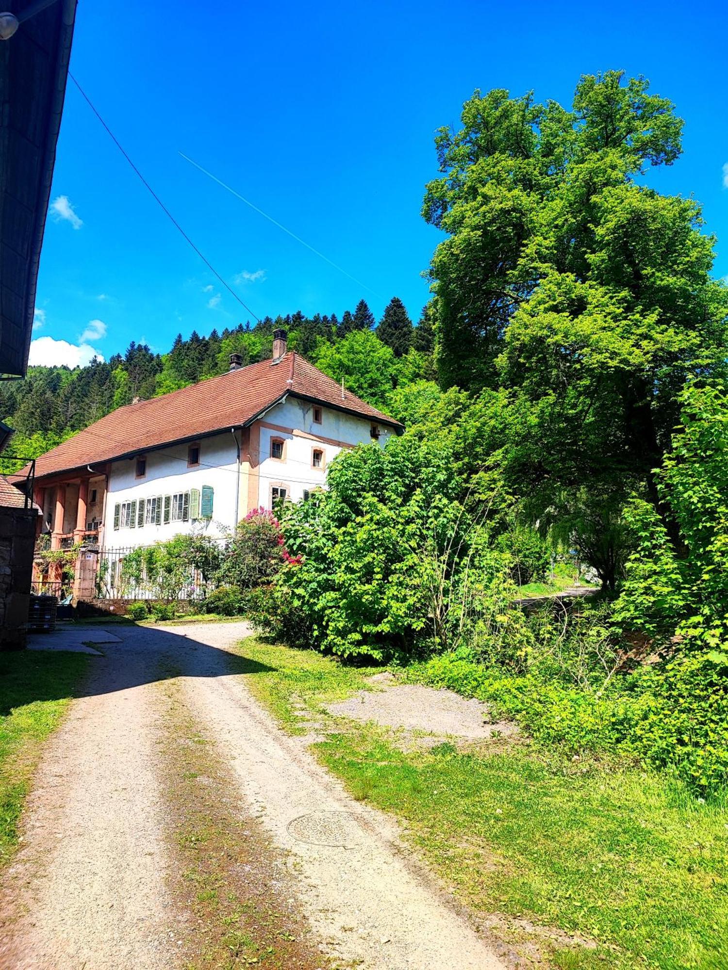 La Demeure Des Forges Apartman Grandfontaine  Kültér fotó