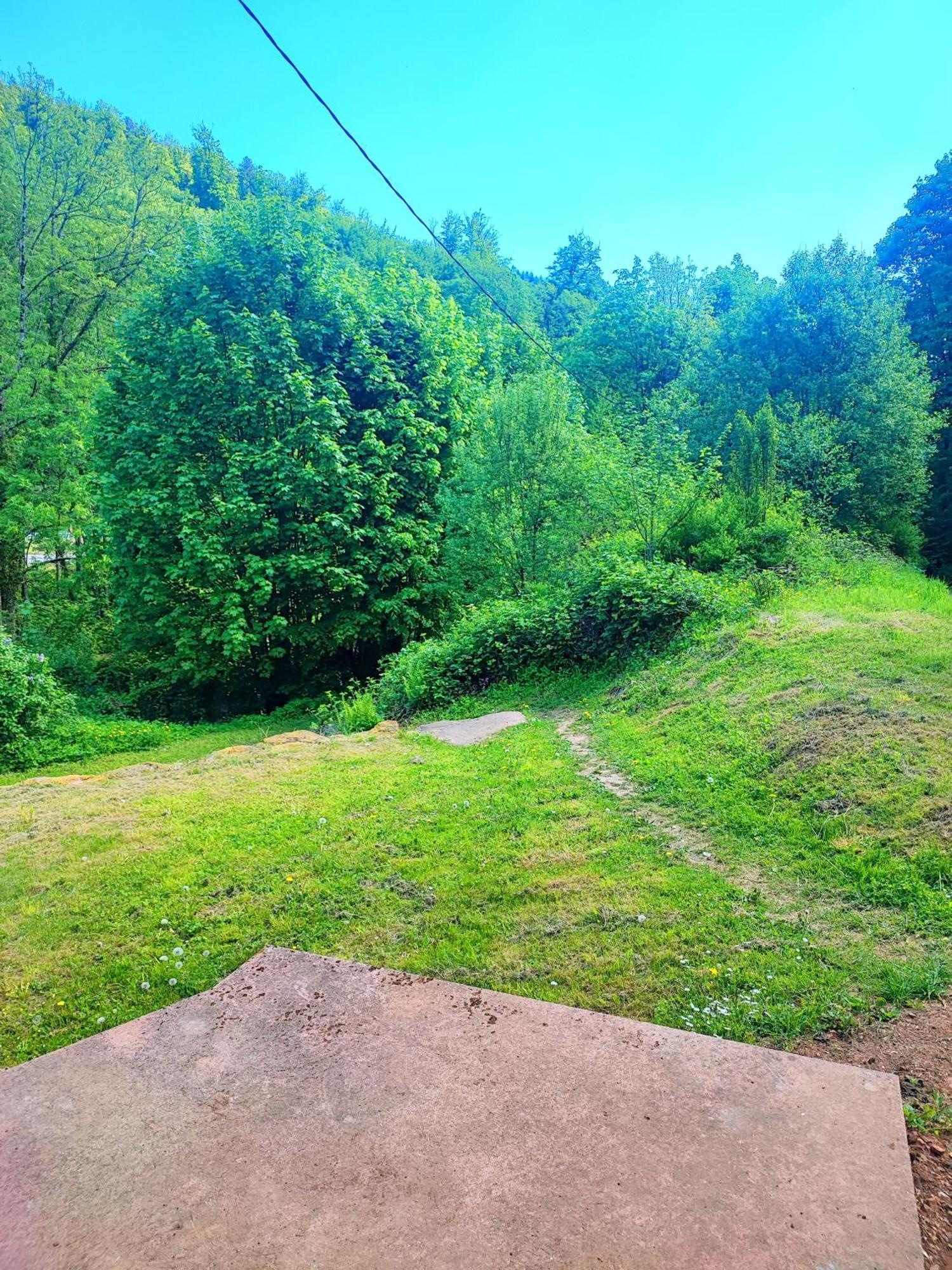 La Demeure Des Forges Apartman Grandfontaine  Kültér fotó