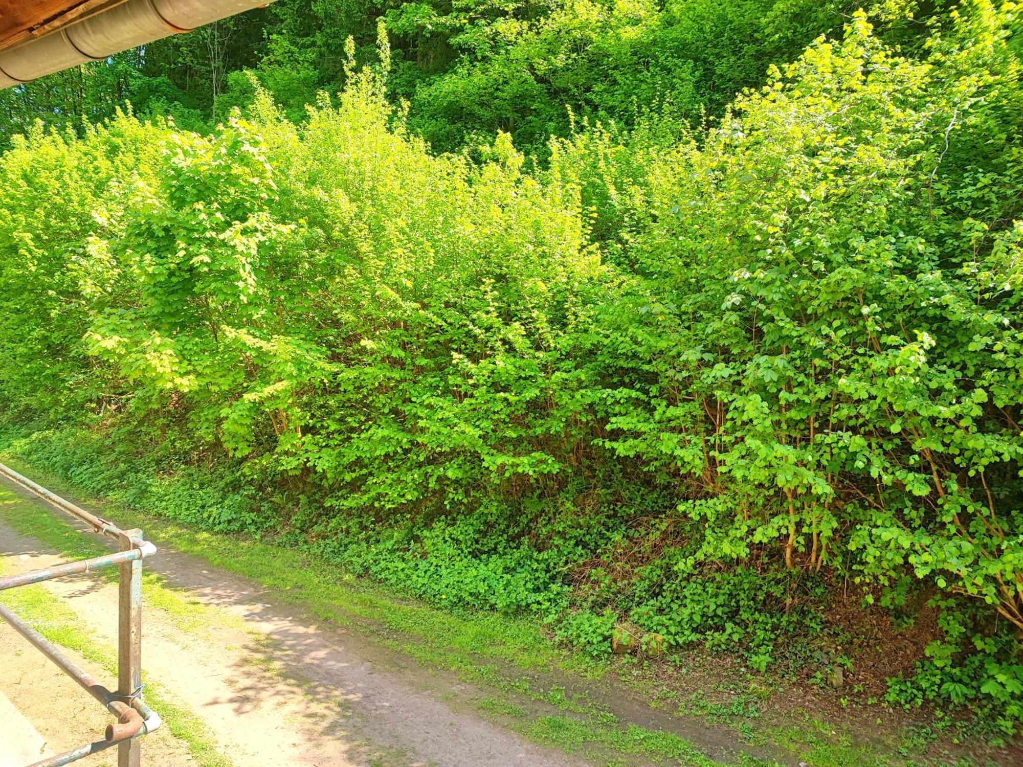 La Demeure Des Forges Apartman Grandfontaine  Kültér fotó