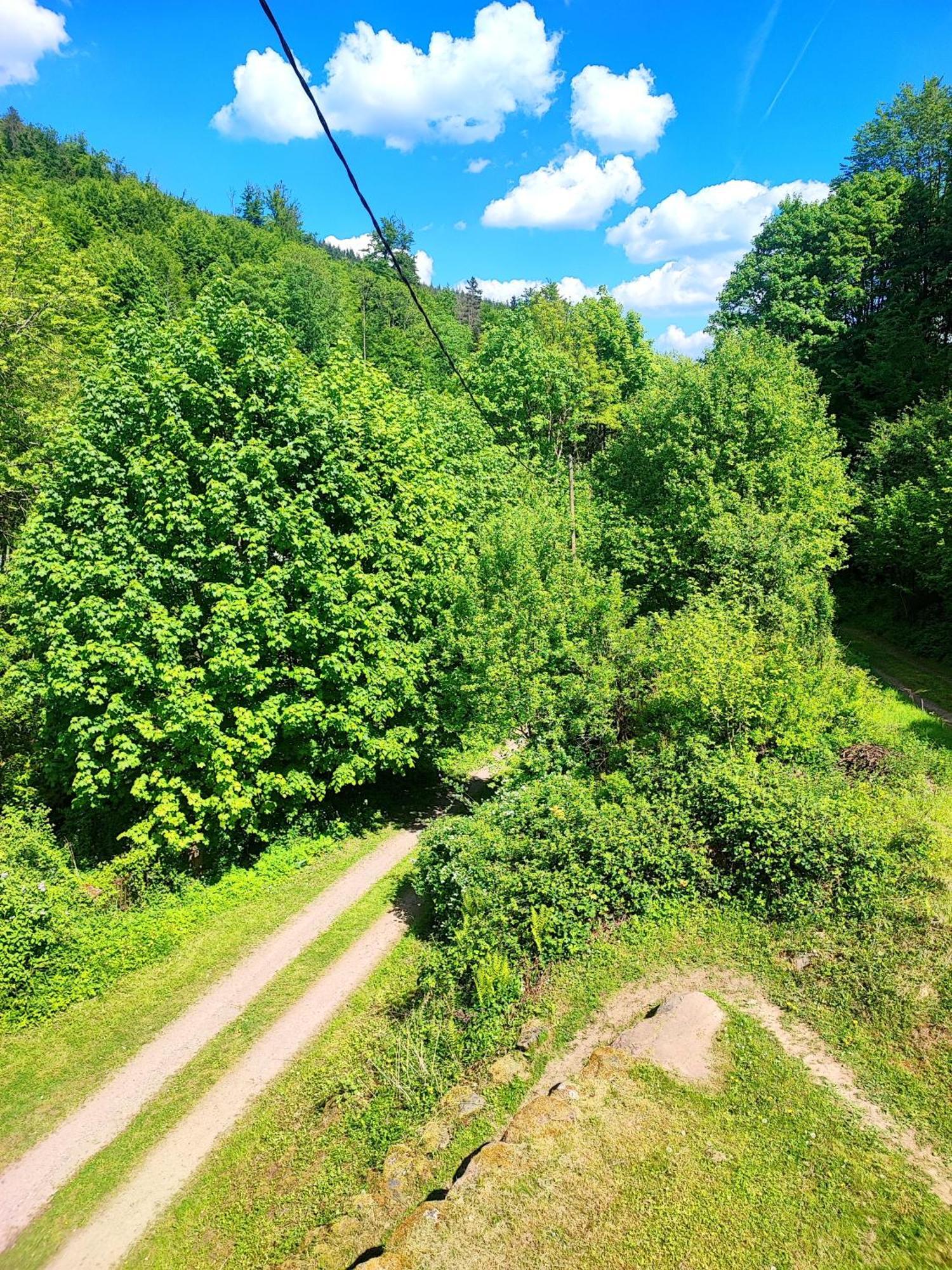La Demeure Des Forges Apartman Grandfontaine  Kültér fotó