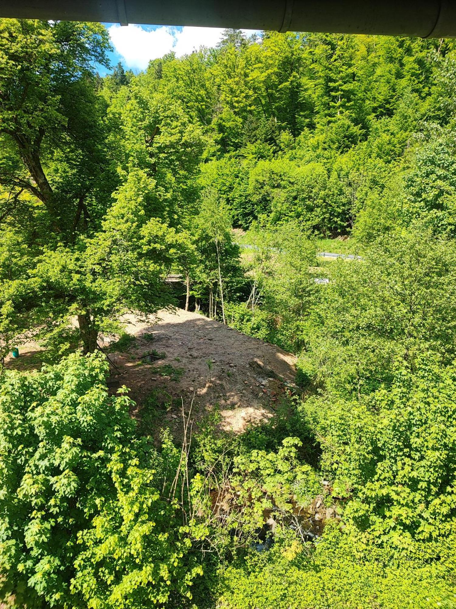 La Demeure Des Forges Apartman Grandfontaine  Kültér fotó