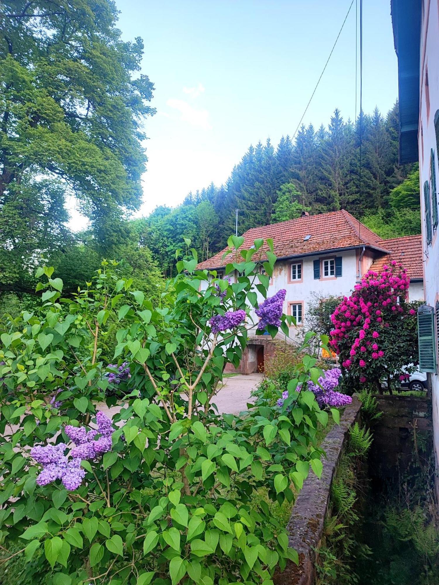 La Demeure Des Forges Apartman Grandfontaine  Kültér fotó